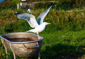 Startbahn Badewanne